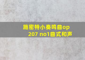 施密特小奏鸣曲op 207 no1曲式和声